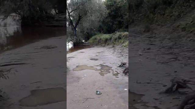 Дорогие мои!!! НА УЛИЦЕ ЛЕТО! ДАВАЙТЕ ОТДЫХАТЬ,ХОРОШЬ РАБОТАТЬ!КТО НЕ УМЕЕТ ОТДЫХАТЬ,ТОТ НЕ УМЕЕТ смотреть онлайн