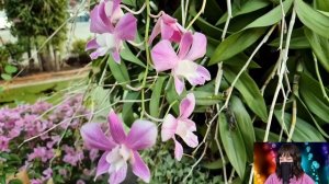Любовница отца выгнала сироту из дома и забрала наследство себе. Но жизнь преподнесла урок судьбы..