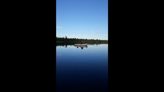 2020 ВИДЕО СПЛАВ смотреть онлайн