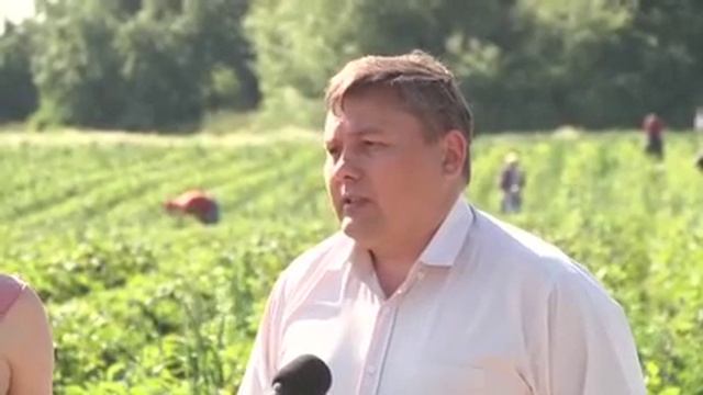 Телевізитка ТОВ Кищенці Вирощування суниці смотреть онлайн