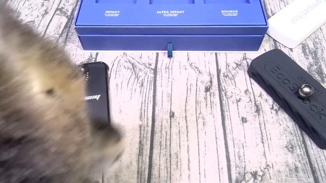iPhone 14 Pro Max - The Casetify UNBREAKABLE Bounce Case! - Real Life Drop Test смотреть онлайн