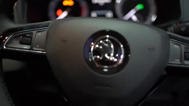 SKODA KAROQ EDITED смотреть онлайн
