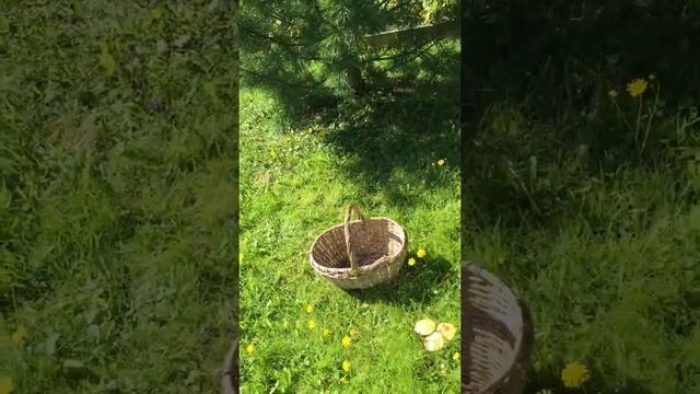 Как должна выглядеть лучшая дача в России! смотреть онлайн