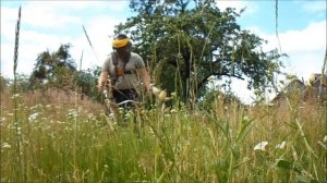 Stihl fs 130 работа по высокой траве.