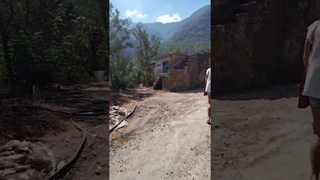 " Дым чай" Алания сады в горах смотреть онлайн