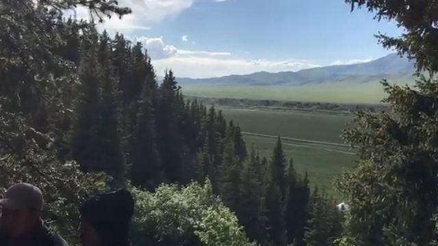 Дона Дона музыка поой😍 смотреть онлайн