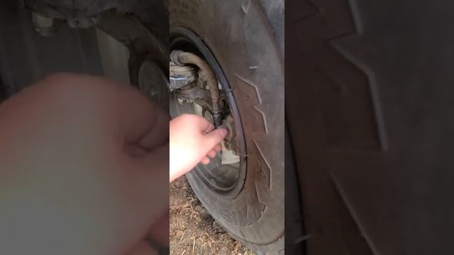 My Honda Rancher смотреть онлайн