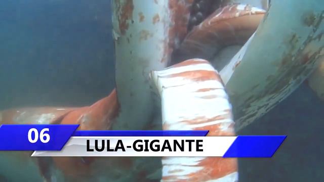 10 GIANT MARINE ANIMALS/10 Самых Крупных морских животных смотреть онлайн