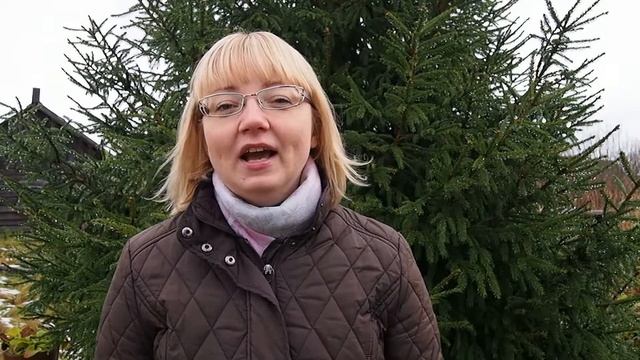 Марина Архиреева читает стихи Арсения Тарковского смотреть онлайн