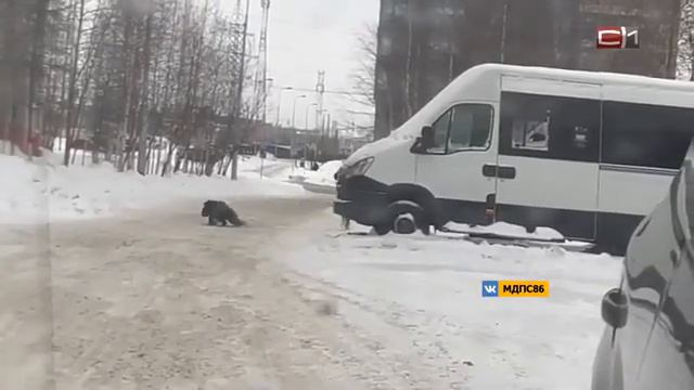 Подростки в Сургуте забрались в микроавтобус, который хозяин забыл закрыть смотреть онлайн