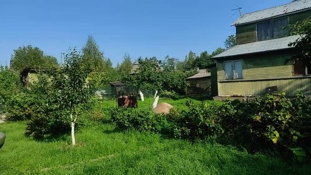 30.08.22.Дача..Лилейники и Флоксы отцветают.. смотреть онлайн