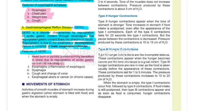 Movements of Gastrointestinal Tract (Part_1) смотреть онлайн