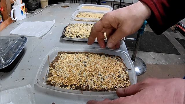 Growing Media Experiment смотреть онлайн