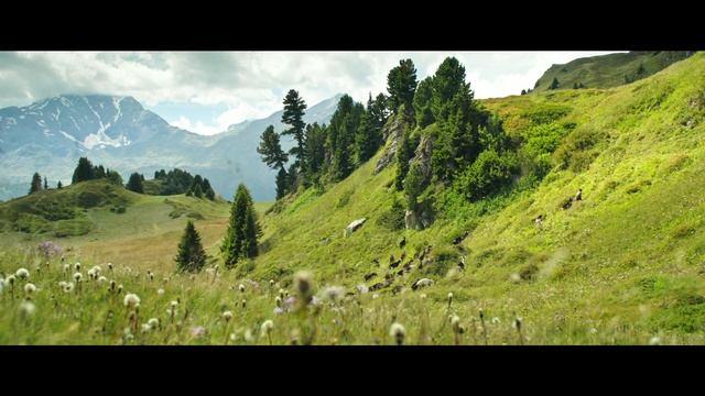 Heidi (2015) | Heidi And Peter Go Into The Alps Clip | Anuk Steffen | Anna Schinz | Lilian Naef