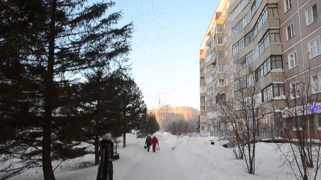 свиристели смотреть онлайн