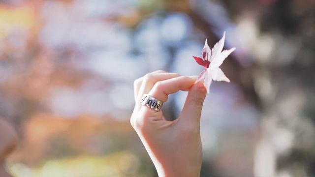 Hanji Kurumi Hakone Autumn смотреть онлайн