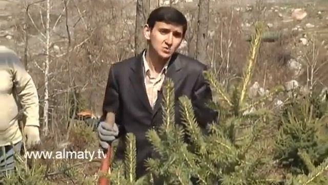Весенняя посадка смотреть онлайн