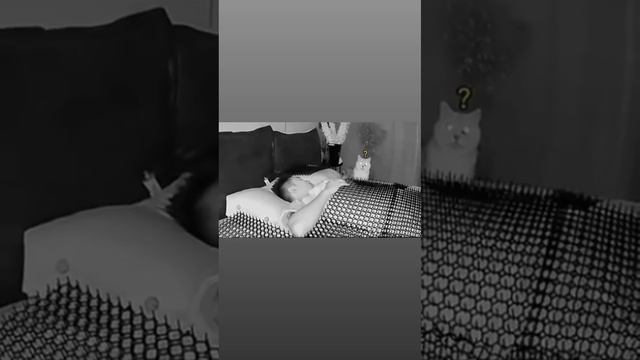 Переиграл смотреть онлайн