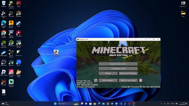 Гайд по установке мода PlasmoVoice