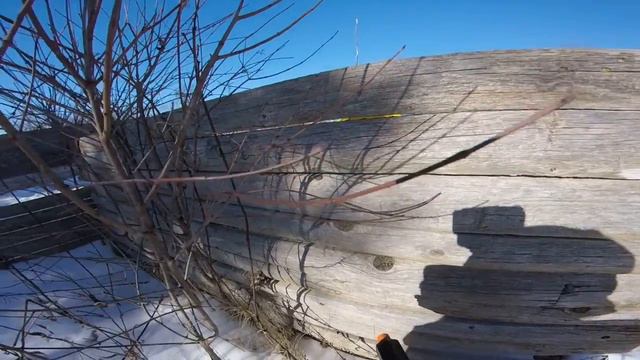 Black ops airsoft Zion il 1/2/16 смотреть онлайн