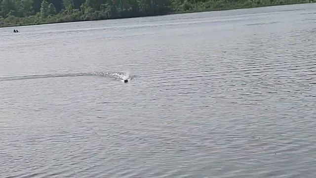 proboat react 17 at hogsett lake skimming the shallows смотреть онлайн