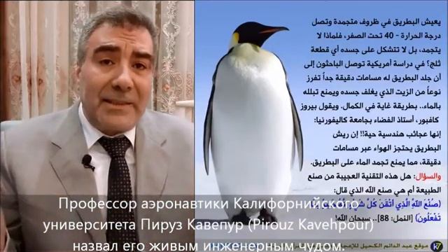 ?لماذا لا يتجمد البطريق ПОЧЕМУ ПИНГВИНЫ ? НЕ ЗАМЕРЗАЮТ? ДОКТОР АЛЬ КАХИЛЬ смотреть онлайн