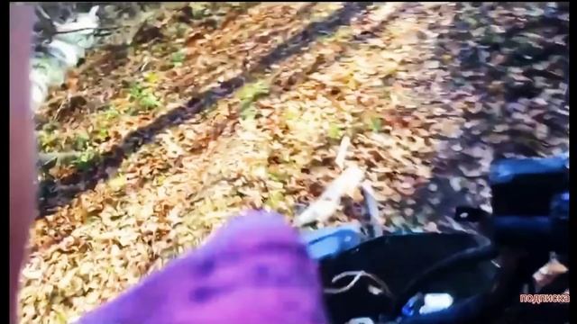 Даня мотовлог покатушка на скутере школьники на скутере.