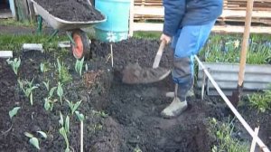 Пруд из старой ванны.