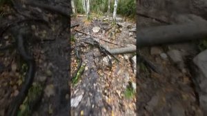 Поход в родные Уральские горы