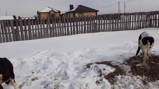 Мы снова в эфире?. События за месяц. смотреть онлайн