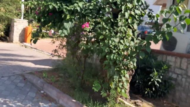 Armir Resort Hotel 5* Турция, Кемер. Дорога на пляж. смотреть онлайн