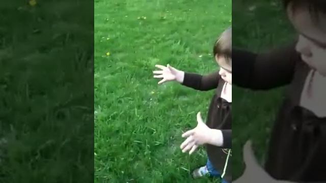 Dandelions смотреть онлайн