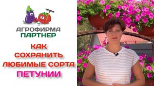 Как сохранить и размножить любимые сорта петунии. Осеннее черенкование.