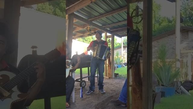 Polkas on the gabbanelli смотреть онлайн