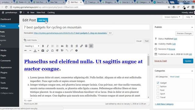 News Portal WordPress theme Tutorial 2019 смотреть онлайн