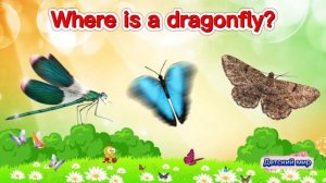Insects for kidsin English. Насекомыe на английском языке детям #insects #насекомыеанглийский