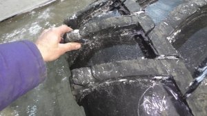 Обзор ободрышей.