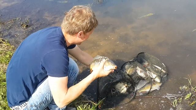 Рыбалка под Лакинском смотреть онлайн