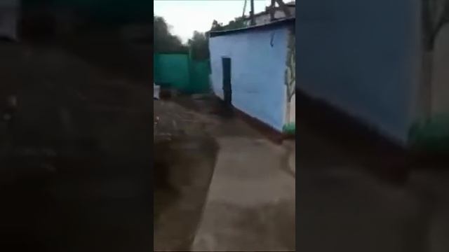 Родительский дом 7.06.2018г.