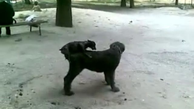 Размер не имеет значения смотреть онлайн