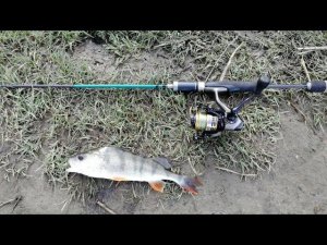 Окунь на ультралайт, классная рыбалка! Озеро Андреевское. #NIK_72