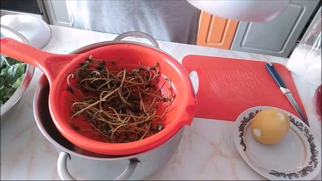 Фантастические Миры