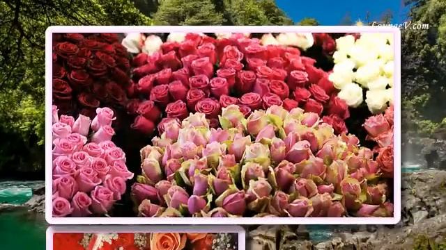 Счастья,радости,любви и море цветов смотреть онлайн