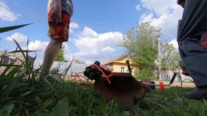 День 2 | Заработал первые 800 рублей. Заработок на покосе травы триммером.
