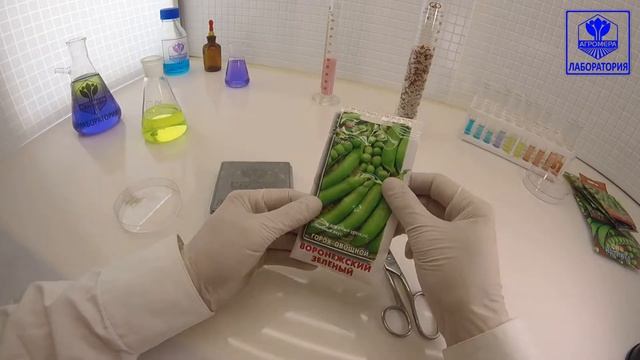 Горох Воронежский Зеленый. Поиск смотреть онлайн