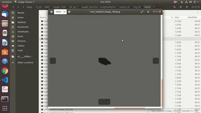 KAGGLE SARTORIUS COCO RLE Video 1 смотреть онлайн