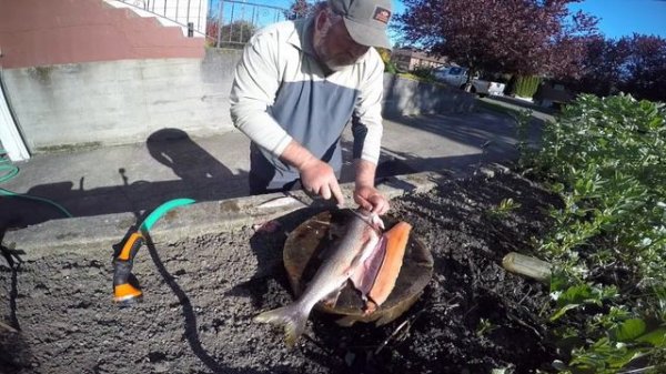 Morakniv Fillet Knives