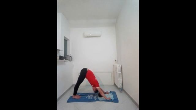 STRETCHING CON "CAVAZZA" 2.0 смотреть онлайн