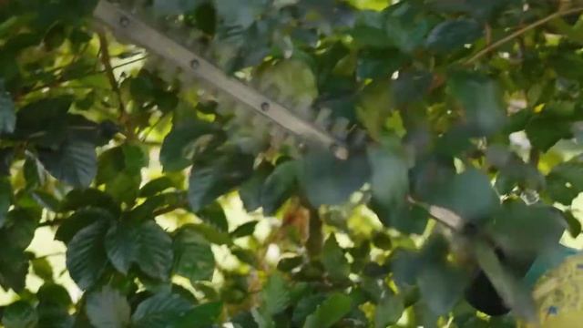 BOSCH EasyHedgeCut 18-45 смотреть онлайн