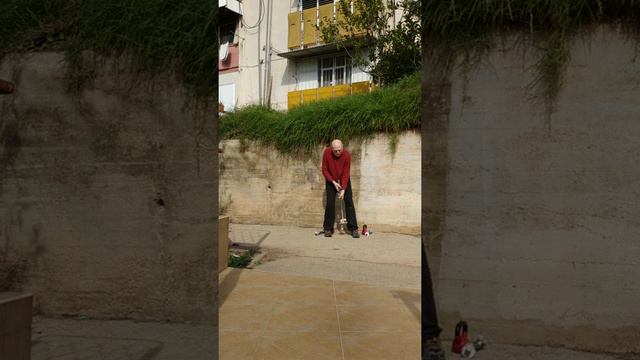 "Живой турник" Ганса Штейера "трудновато повторяТЬ", однако пример с сего атлета следует браТЬ! смотреть онлайн